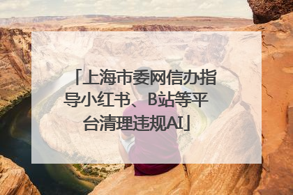上海市委网信办指导小红书、B站等平台清理违规AI