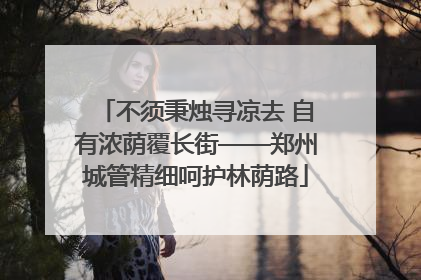 不须秉烛寻凉去 自有浓荫覆长街——郑州城管精细呵护林荫路