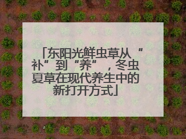 东阳光鲜虫草从“补”到“养”，冬虫夏草在现代养生中的新打开方式