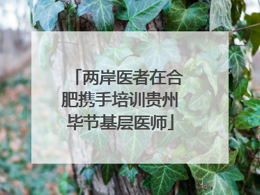 两岸医者在合肥携手培训贵州毕节基层医师