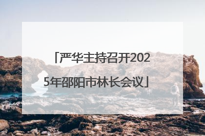 严华主持召开2025年邵阳市林长会议