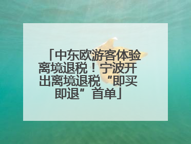 中东欧游客体验离境退税！宁波开出离境退税“即买即退”首单