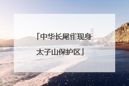 中华长尾雀现身太子山保护区