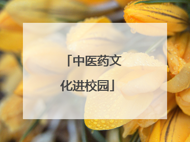 中医药文化进校园