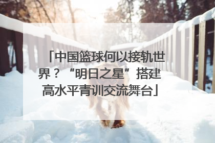 中国篮球何以接轨世界？“明日之星”搭建高水平青训交流舞台