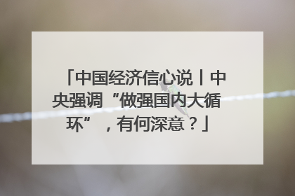 中国经济信心说丨中央强调“做强国内大循环”，有何深意？