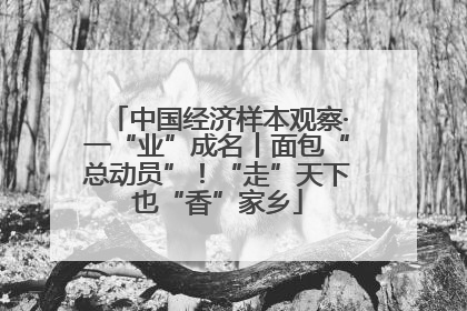中国经济样本观察·一“业”成名丨面包“总动员”！“走”天下也“香”家乡