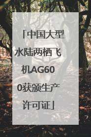 中国大型水陆两栖飞机AG600获颁生产许可证