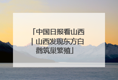 中国日报看山西｜山西发现东方白鹳筑巢繁殖