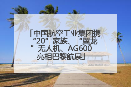 中国航空工业集团携“20”家族、“翼龙”无人机、AG600亮相巴黎航展