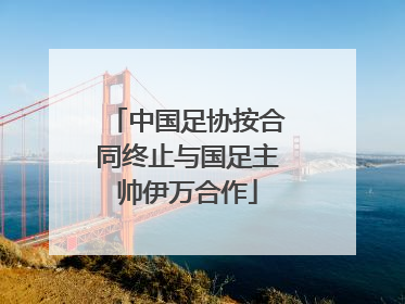 中国足协按合同终止与国足主帅伊万合作