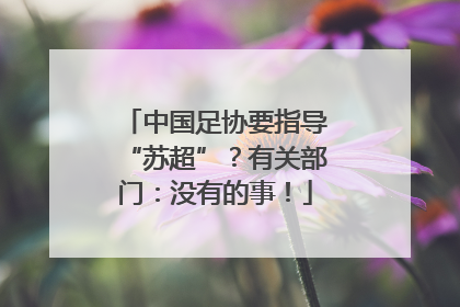 中国足协要指导“苏超”？有关部门：没有的事！