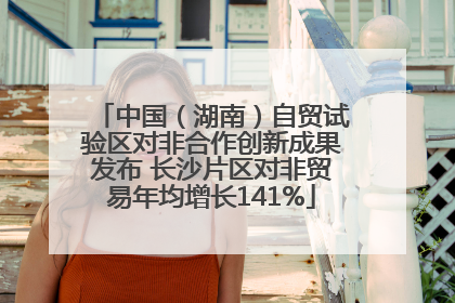 中国（湖南）自贸试验区对非合作创新成果发布 长沙片区对非贸易年均增长141%