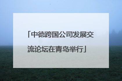 中德跨国公司发展交流论坛在青岛举行
