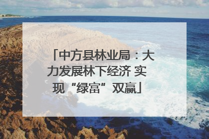 中方县林业局：大力发展林下经济 实现“绿富”双赢