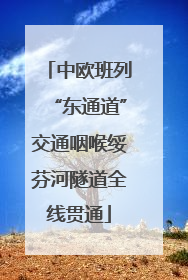 中欧班列“东通道”交通咽喉绥芬河隧道全线贯通