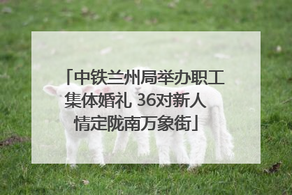 中铁兰州局举办职工集体婚礼 36对新人情定陇南万象街
