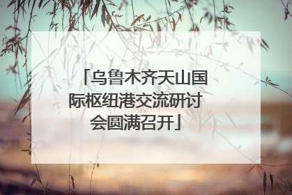 乌鲁木齐天山国际枢纽港交流研讨会圆满召开