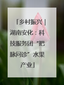 乡村振兴｜湖南安化：科技服务团“把脉问诊”水果产业