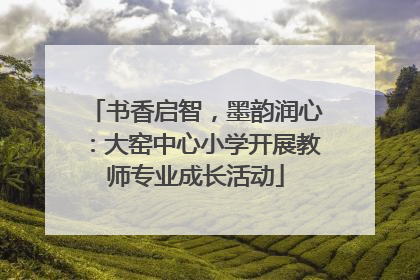 书香启智，墨韵润心：大窑中心小学开展教师专业成长活动