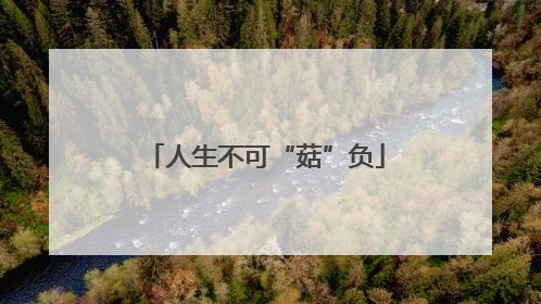 人生不可“菇”负