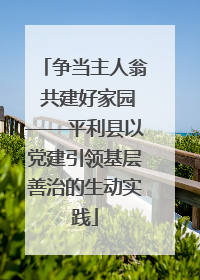 争当主人翁 共建好家园——平利县以党建引领基层善治的生动实践
