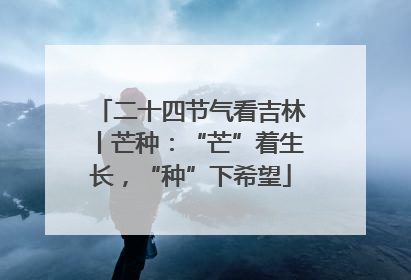 二十四节气看吉林丨芒种：“芒”着生长，“种”下希望