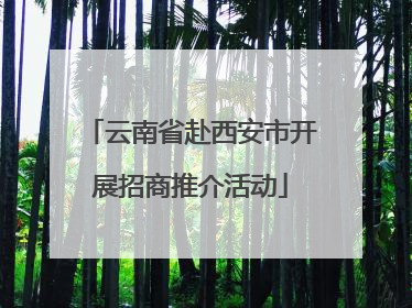 云南省赴西安市开展招商推介活动