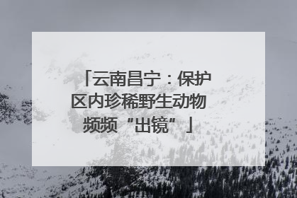云南昌宁：保护区内珍稀野生动物频频“出镜”