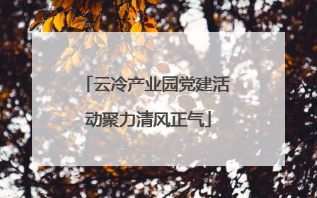 云冷产业园党建活动聚力清风正气