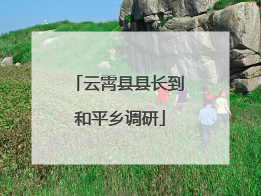 云霄县县长到和平乡调研