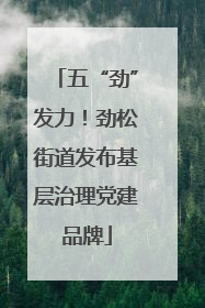 五“劲”发力！劲松街道发布基层治理党建品牌