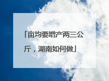 亩均要增产两三公斤，湖南如何做