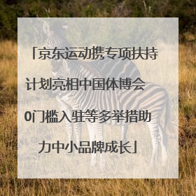京东运动携专项扶持计划亮相中国体博会 0门槛入驻等多举措助力中小品牌成长