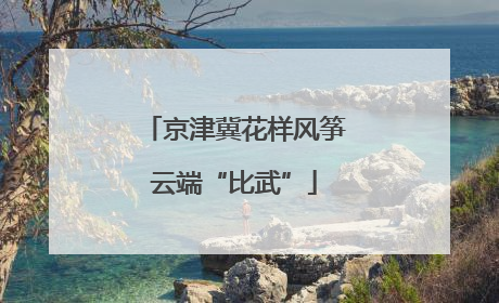 京津冀花样风筝云端“比武”