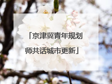 京津冀青年规划师共话城市更新