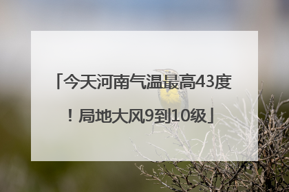 今天河南气温最高43度！局地大风9到10级