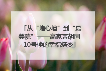 从“堵心墙”到“最美院”——高家寨胡同10号楼的幸福蝶变