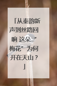 从秦韵新声到丝路回响 这朵“梅花”为何开在天山？