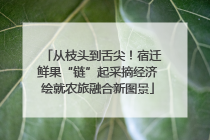 从枝头到舌尖！宿迁鲜果“链”起采摘经济绘就农旅融合新图景