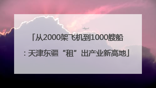 从2000架飞机到1000艘船：天津东疆“租”出产业新高地