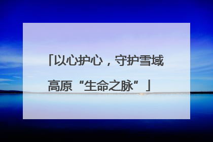 以心护心，守护雪域高原“生命之脉”
