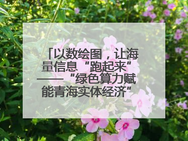 以数绘图，让海量信息“跑起来”——“绿色算力赋能青海实体经济”系列报道①