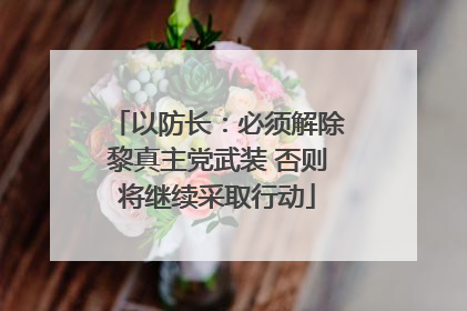 以防长：必须解除黎真主党武装 否则将继续采取行动