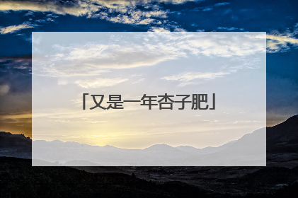 又是一年杏子肥