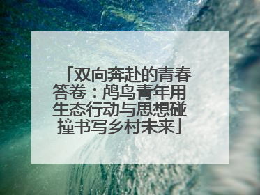 双向奔赴的青春答卷：鸬鸟青年用生态行动与思想碰撞书写乡村未来