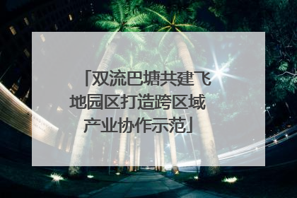 双流巴塘共建飞地园区打造跨区域产业协作示范
