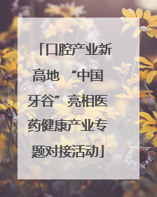 口腔产业新高地 “中国牙谷”亮相医药健康产业专题对接活动