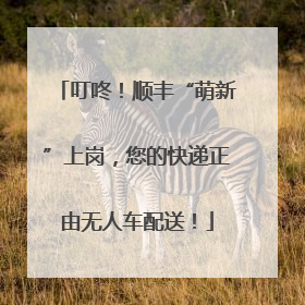 叮咚！顺丰“萌新”上岗，您的快递正由无人车配送！