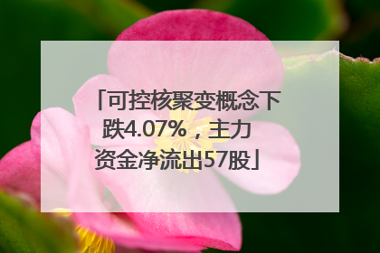 可控核聚变概念下跌4.07%，主力资金净流出57股